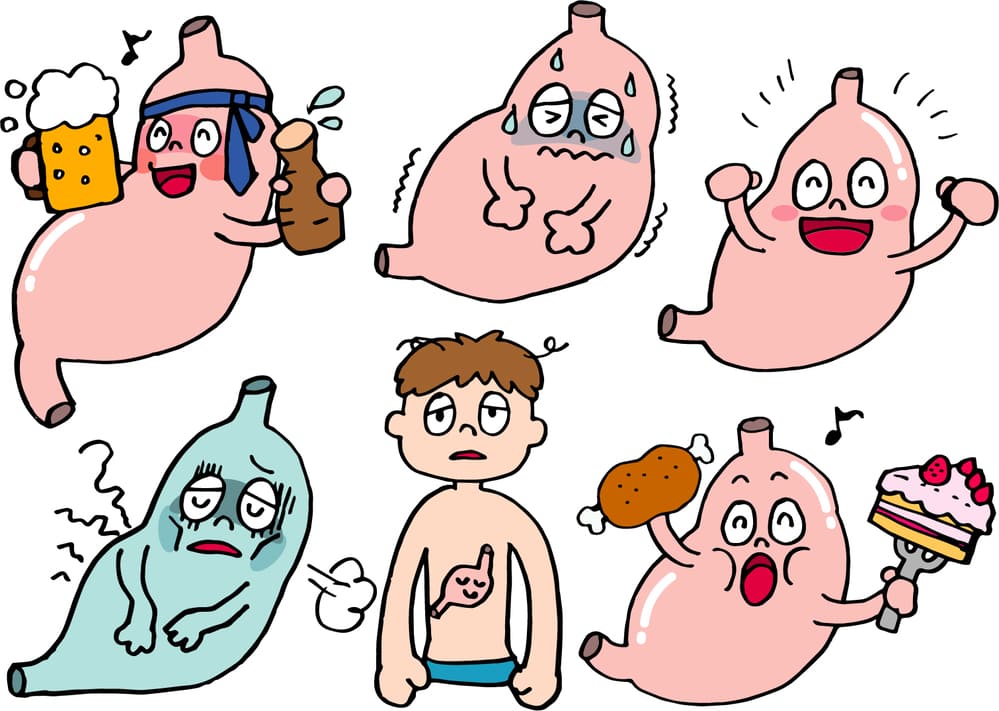 胃腸症状が出てしまう原因