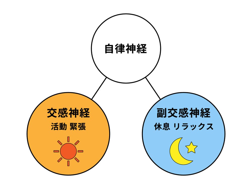 自律神経